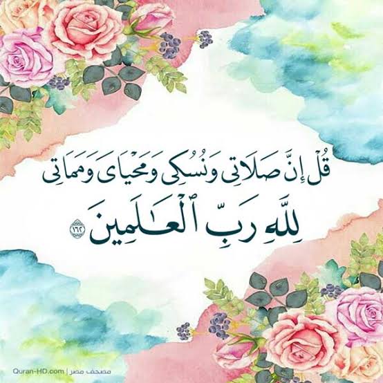 المهندس علي احمد