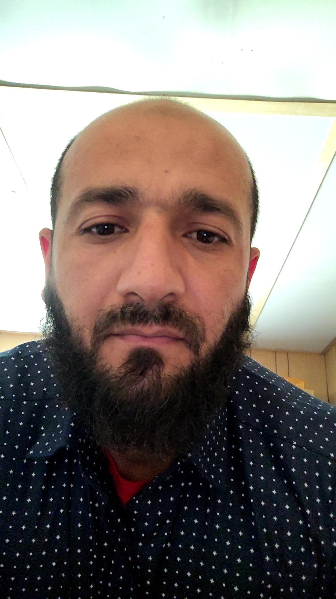 محمد فؤاد محمد فيشا