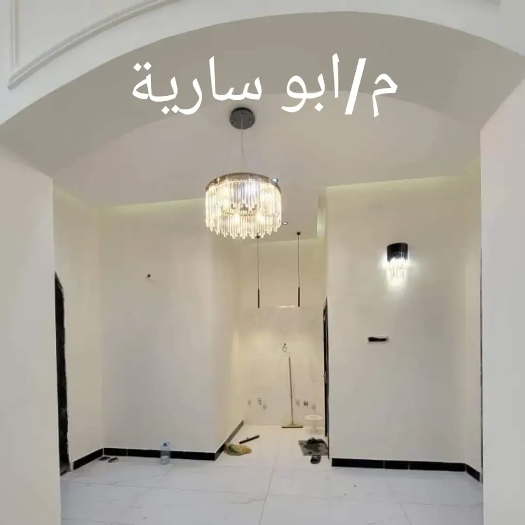محمد عامر